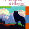 Adventure at Yellowstone
